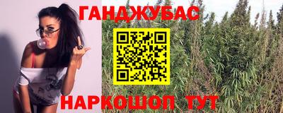 ECSTASY Краснодар